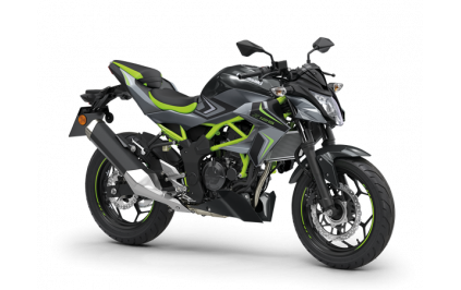 KAWASAKI z 125